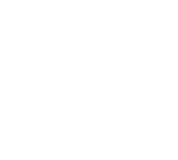  Bang Nielsen Entreprise logo